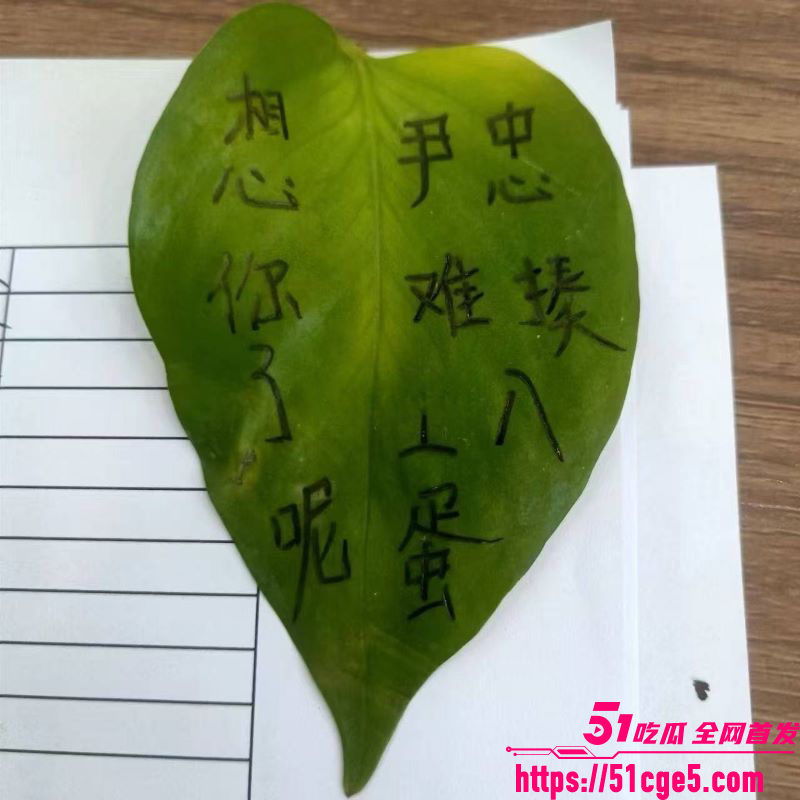丈夫整理手机发现妻子出轨20年 5 丈夫整理手机发现妻子出轨20年 5
